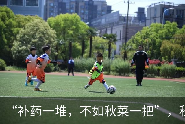 “补药一堆,不如秋菜一把”,秋季建议多吃这8种菜,鲜嫩正当时