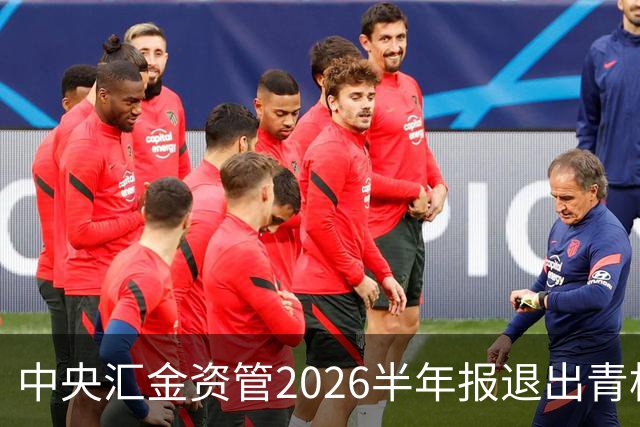 中央汇金资管2026半年报退出青松建化前十大股东名单！