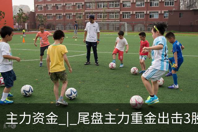 主力资金 | 尾盘主力重金出击3股