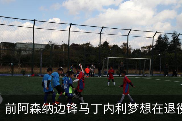 前阿森纳边锋马丁内利梦想在退役前，回归旧主巴西科林蒂安队踢球