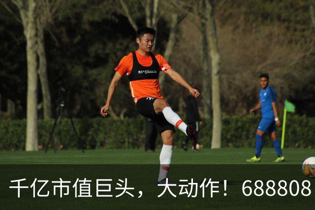 千亿市值巨头,大动作!688808,筹划赴港上市!