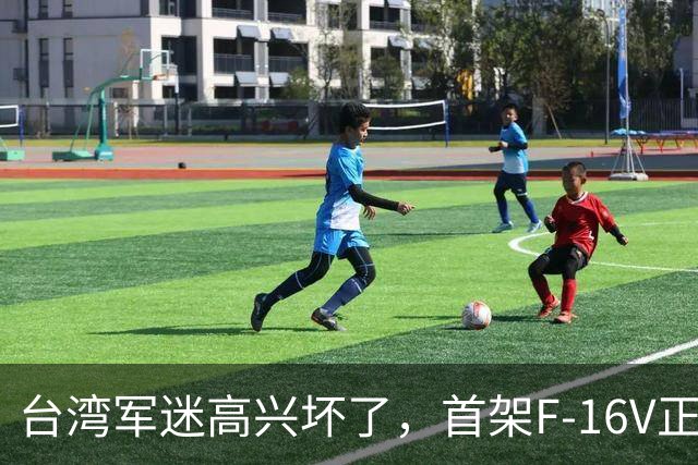台湾军迷高兴坏了，首架F-16V正式抵台，号称能打歼-20