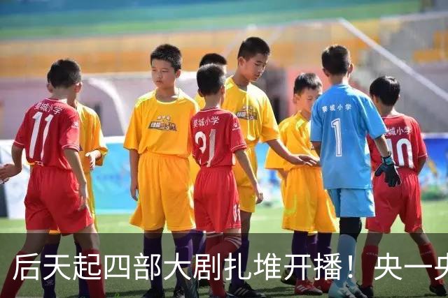 后天起四部大剧扎堆开播！央一央八东方江苏硬碰硬，先追哪部？