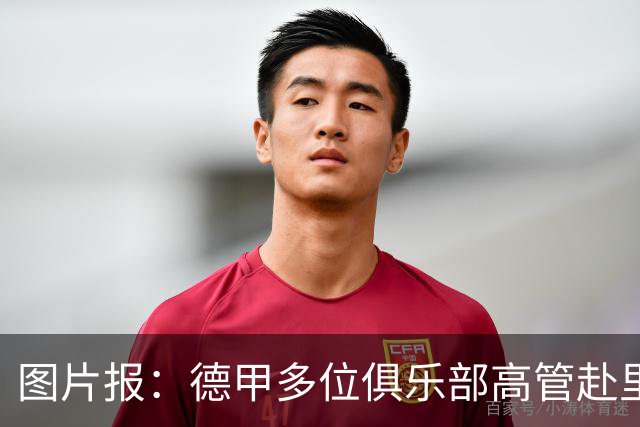 图片报:德甲多位俱乐部高管赴里斯本,考察本菲卡和葡体青训
