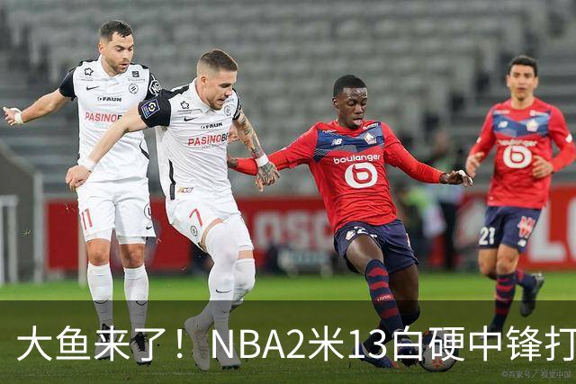 大鱼来了！NBA2米13白硬中锋打成大腿，或加盟广东队驰援亚帅？‍