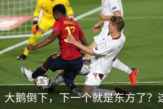 大鹅倒下，下一个就是东方了？这种观点的逻辑到底是什么
