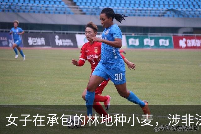 女子在承包的林地种小麦,涉非法占用农用地罪被刑拘;一个标点引发定罪争议:顿号是“或”还是“和”?观点:宜尽快出台权威解释避免错案