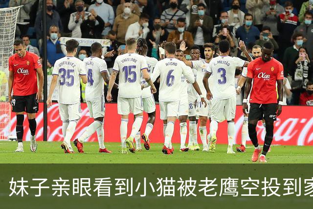 妹子亲眼看到小猫被老鹰空投到家后院，网友笑喷：无人机配送？
