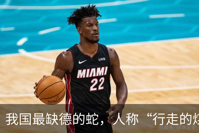 我国最缺德的蛇，人称“行走的煤气罐”，它又多恐怖？被咬捡回性命，也可能留下终身后遗症！