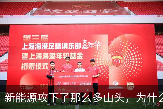 新能源攻下了那么多山头，为什么过不去这一座？