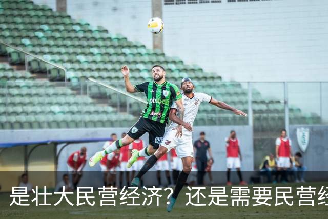 是壮大民营经济？还是需要民营经济？