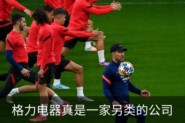 格力电器真是一家另类的公司
