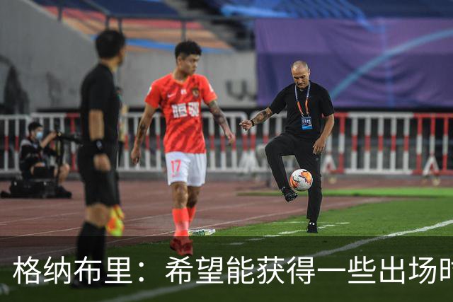 格纳布里：希望能获得一些出场时间；很高兴重新回到国家队