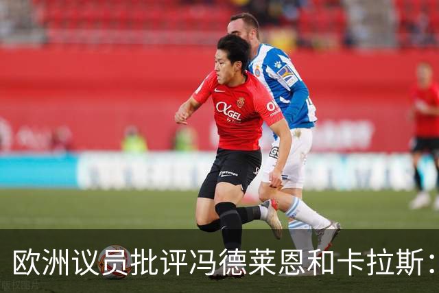 欧洲议员批评冯德莱恩和卡拉斯：他们谴责俄选举，却无视乌未选举