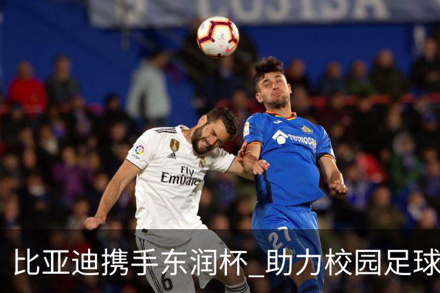 比亚迪携手东润杯 助力校园足球少年圆梦工体