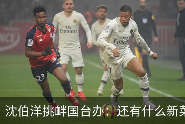 沈伯洋挑衅国台办:还有什么新菜?