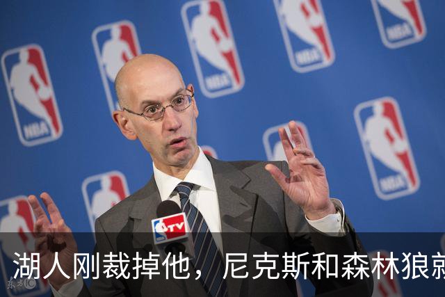 湖人刚裁掉他，尼克斯和森林狼就盯上了