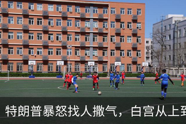特朗普暴怒找人撒气，白宫从上到下都在挨骂，他知道自己必败无疑