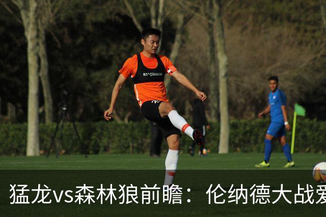 猛龙vs森林狼前瞻：伦纳德大战爱德华兹，一场不同风格的强硬对决
