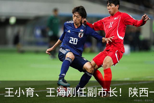 王小育、王海刚任副市长！陕西一市最新人事任免