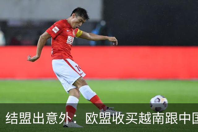 结盟出意外：欧盟收买越南跟中国对着干，没料到越南狮子大开口