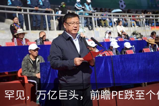 罕见，万亿巨头，前瞻PE跌至个位数！低估值硬科技龙头股揭秘