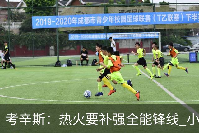 考辛斯:热火要补强全能锋线 小米切尔更适合防守尖兵定位