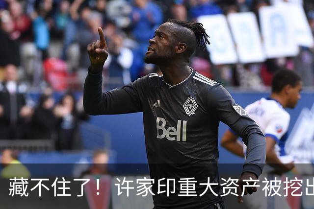 藏不住了！许家印重大资产被挖出，186.5亿转给了“重庆李嘉诚”