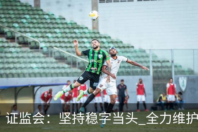 证监会：坚持稳字当头 全力维护资本市场安全稳定