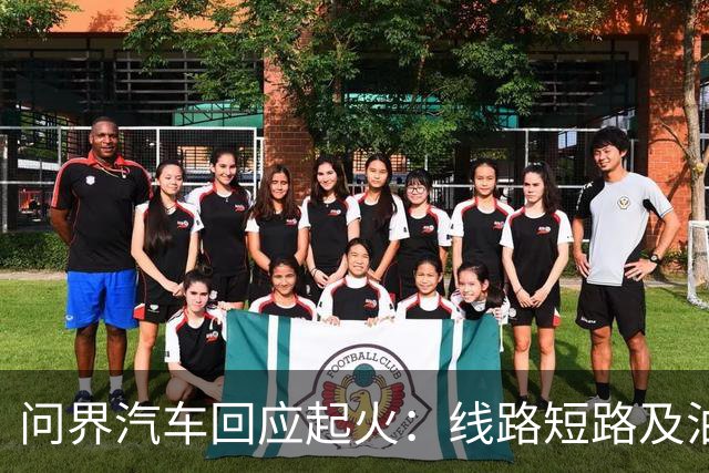 问界汽车回应起火：线路短路及油液泄露导致起火