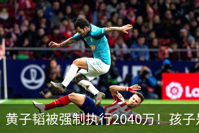 黄子韬被强制执行2040万!孩子是美国籍,已不是第一次出事