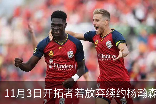 11月3日开拓者若放弃续约杨瀚森，他依然有三条出路可选