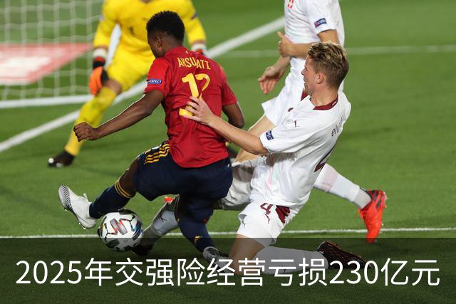 2025年交强险经营亏损230亿元
