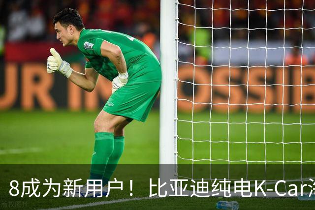 8成为新用户！比亚迪纯电K-Car海獭最新数据公布：累销1832台